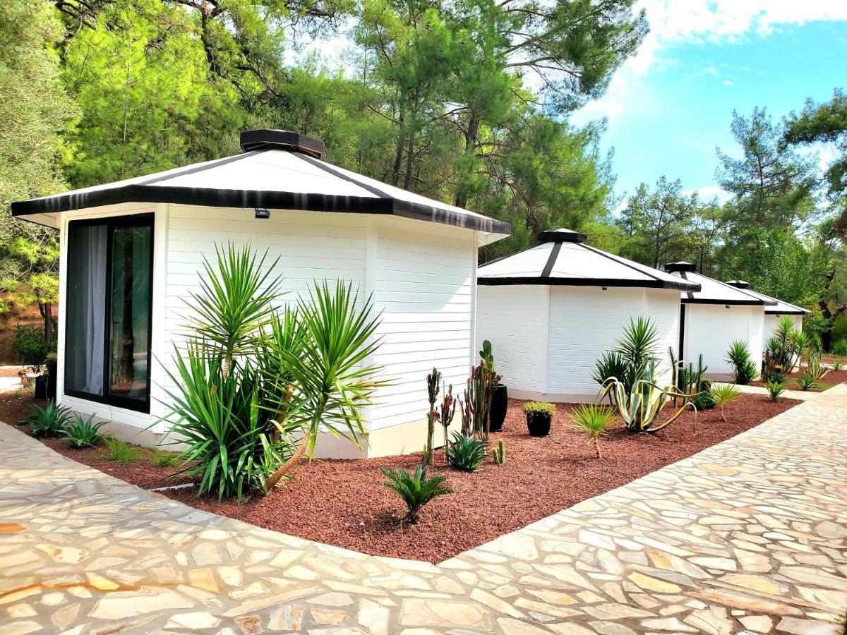 Nomad Lodge Olympos Adults Only Eksteriør bilde